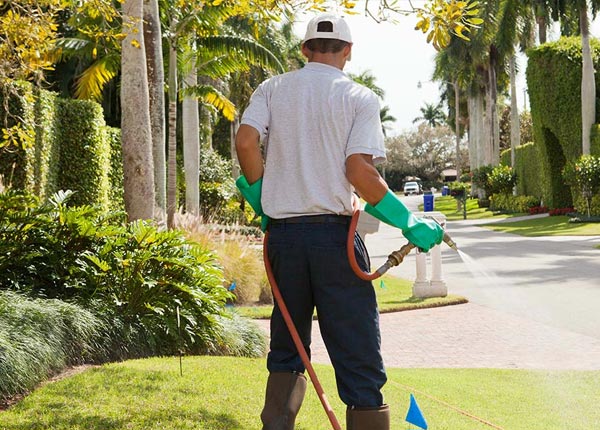 About Wasco CA Pest Control